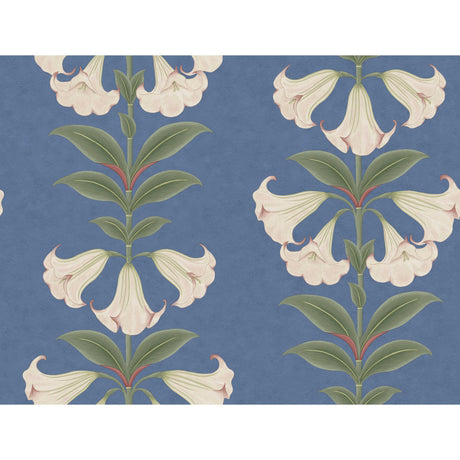 Cole & Son ANGELS TRUMPET BALLET SLIPPER/SAGE/C SKY Wallpaper
