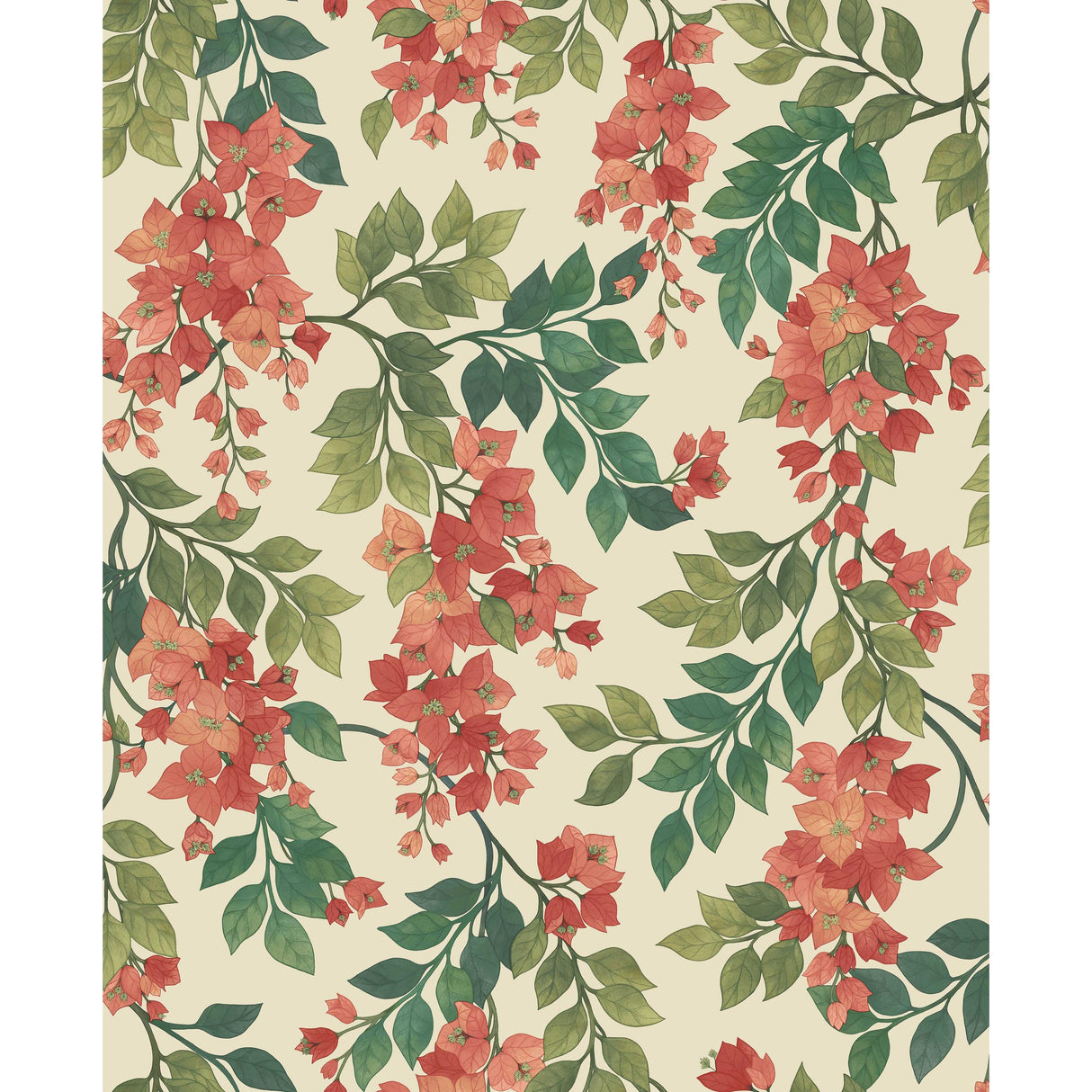 Cole & Son BOUGAINVILLEA ROUGE/OLIVE GRN/EMERALD/CRM Wallpaper