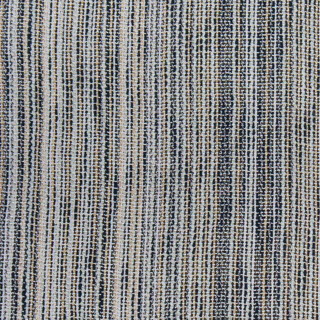 Gaston Y Daniela CARTOGRAFIA 001 Drapery Fabric