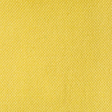 Gaston Y Daniela LIMA VERDE LIMA Upholstery Fabric