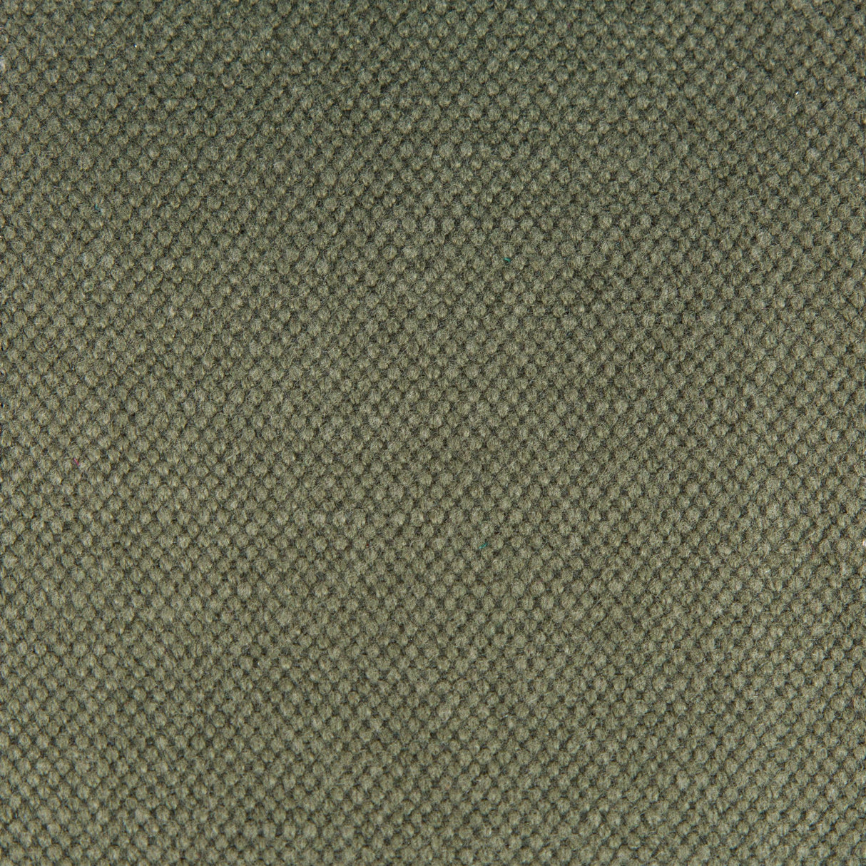 Gaston Y Daniela LIMA KAKI Upholstery Fabric