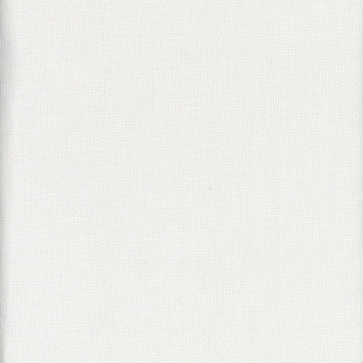 Andrew Martin BEAGLE JOURNAL Fabric