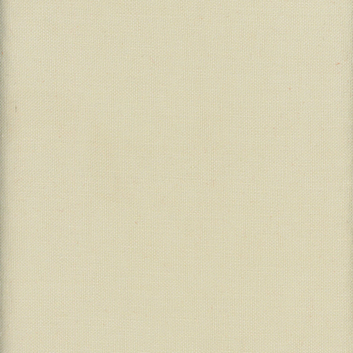 Andrew Martin BEAGLE DOCUMENT Fabric