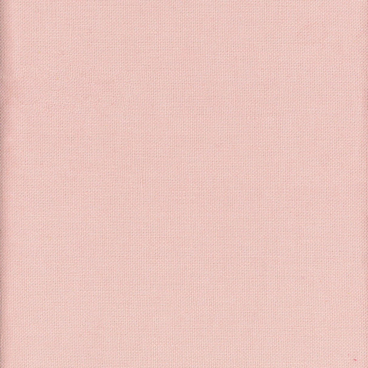 Andrew Martin BEAGLE SHELL Fabric