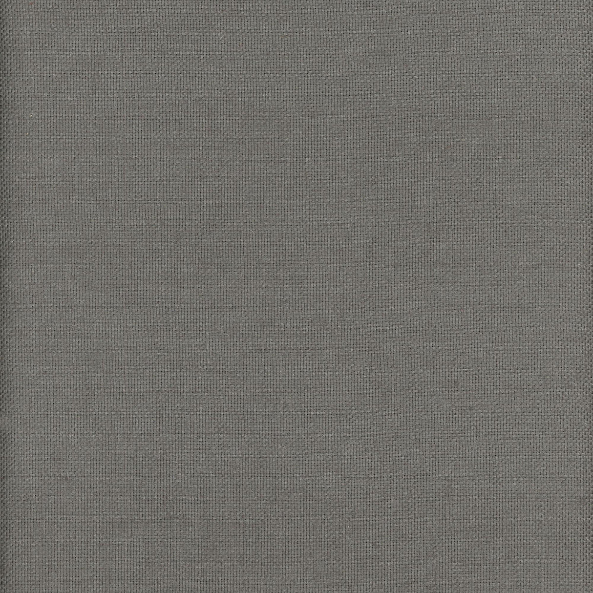 Andrew Martin BEAGLE TURTLE Fabric