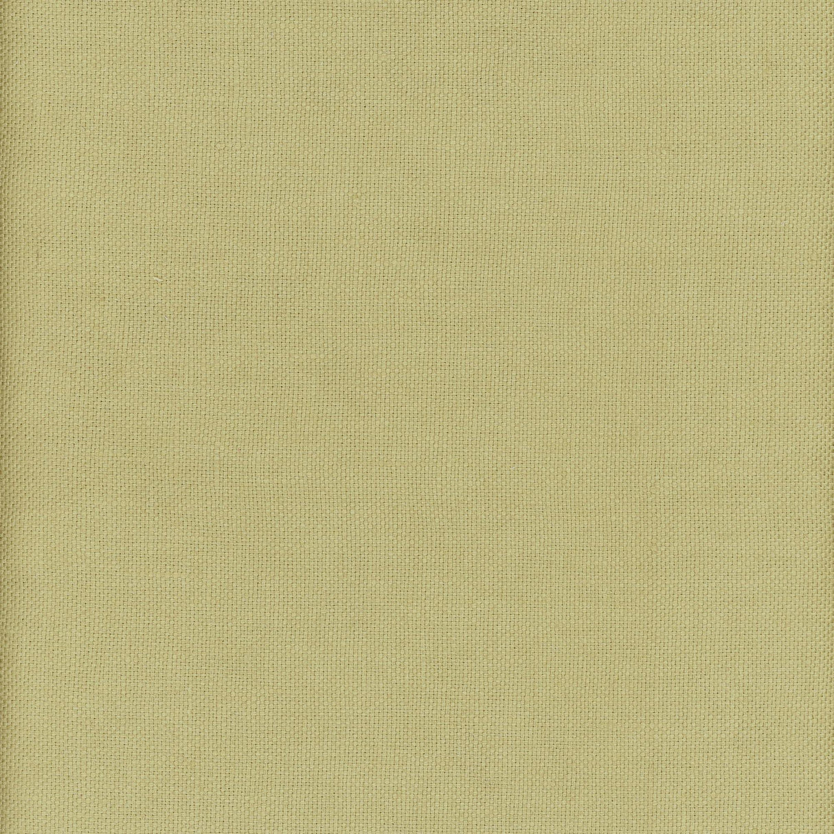 Andrew Martin BEAGLE FIREFLY Fabric