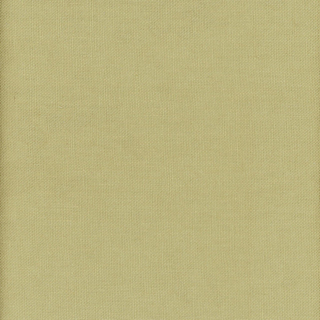 Andrew Martin BEAGLE FIREFLY Fabric