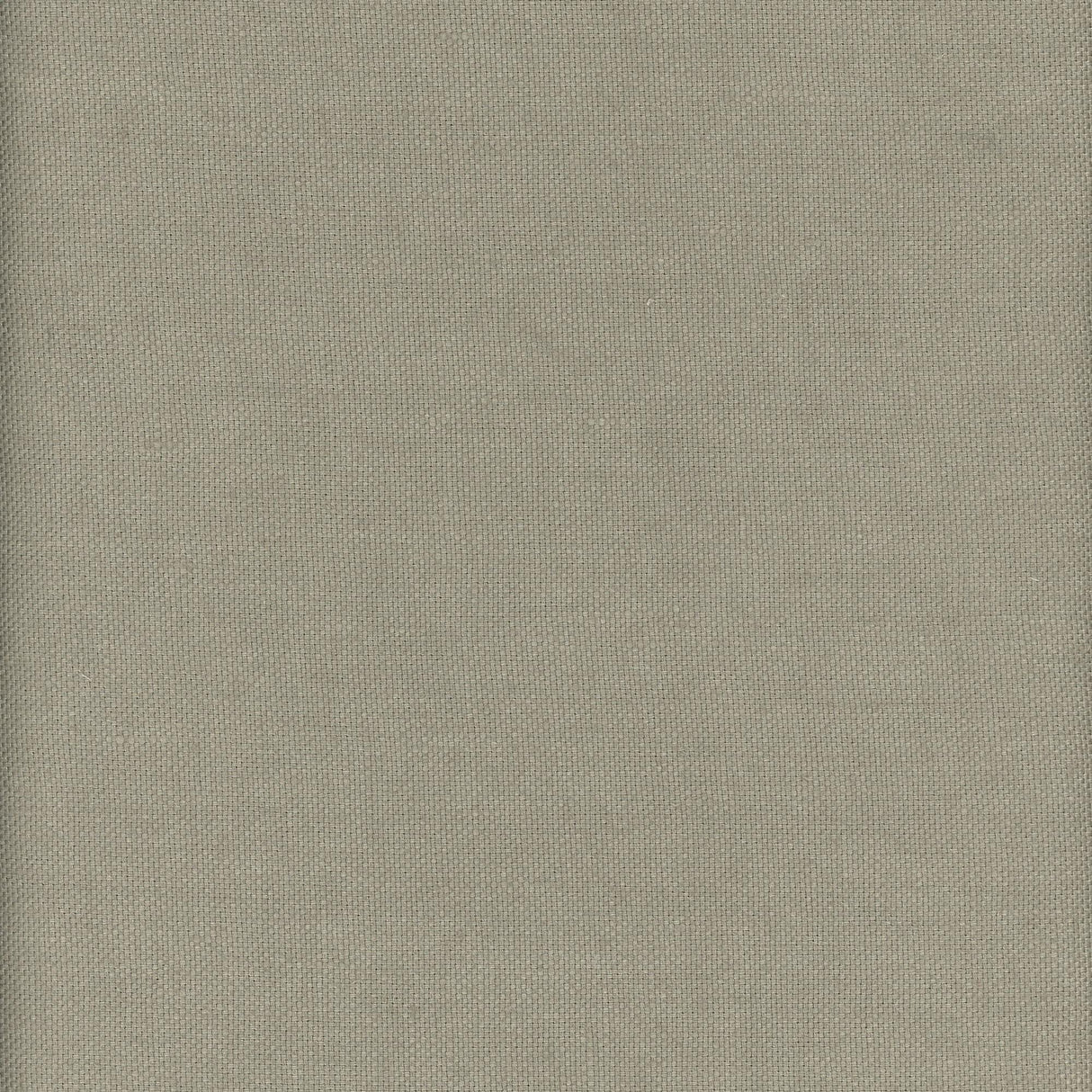 Andrew Martin BEAGLE GRASSHOPPER Fabric