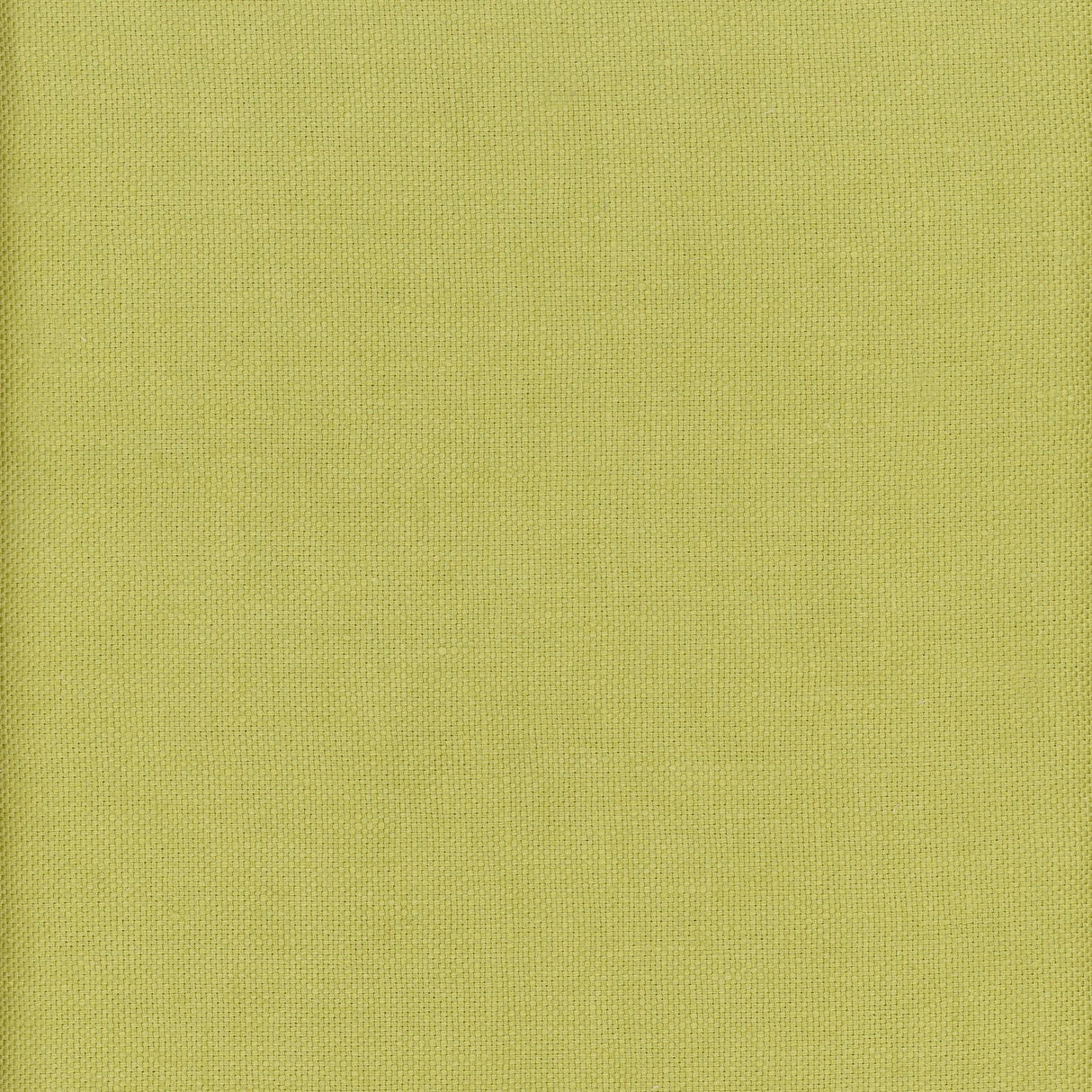 Andrew Martin BEAGLE LIZARD Fabric