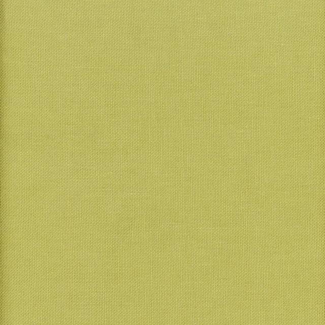 Andrew Martin BEAGLE LIZARD Fabric