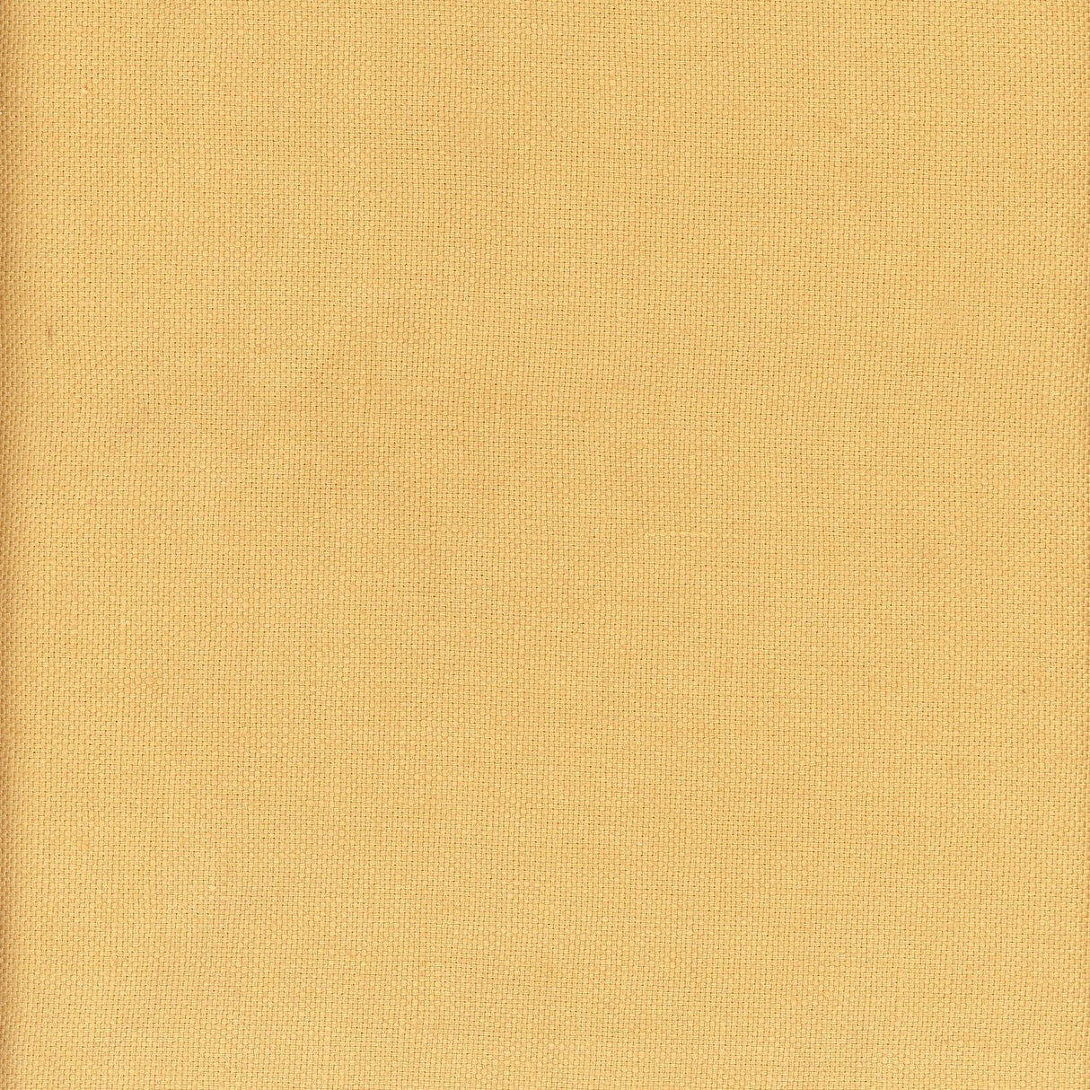Andrew Martin BEAGLE ACACIA Fabric