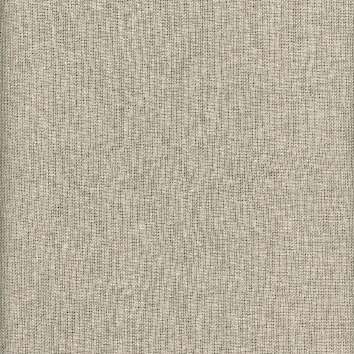 Andrew Martin BEAGLE FOSSIL Fabric