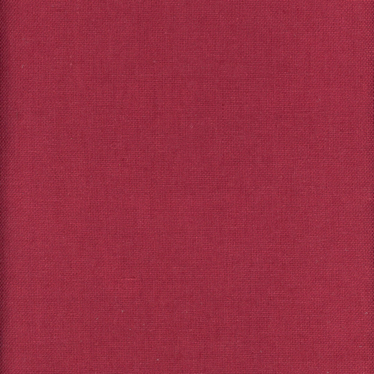 Andrew Martin BEAGLE ORCHID Fabric