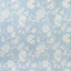 Lee Jofa SOMERSET SKY Fabric