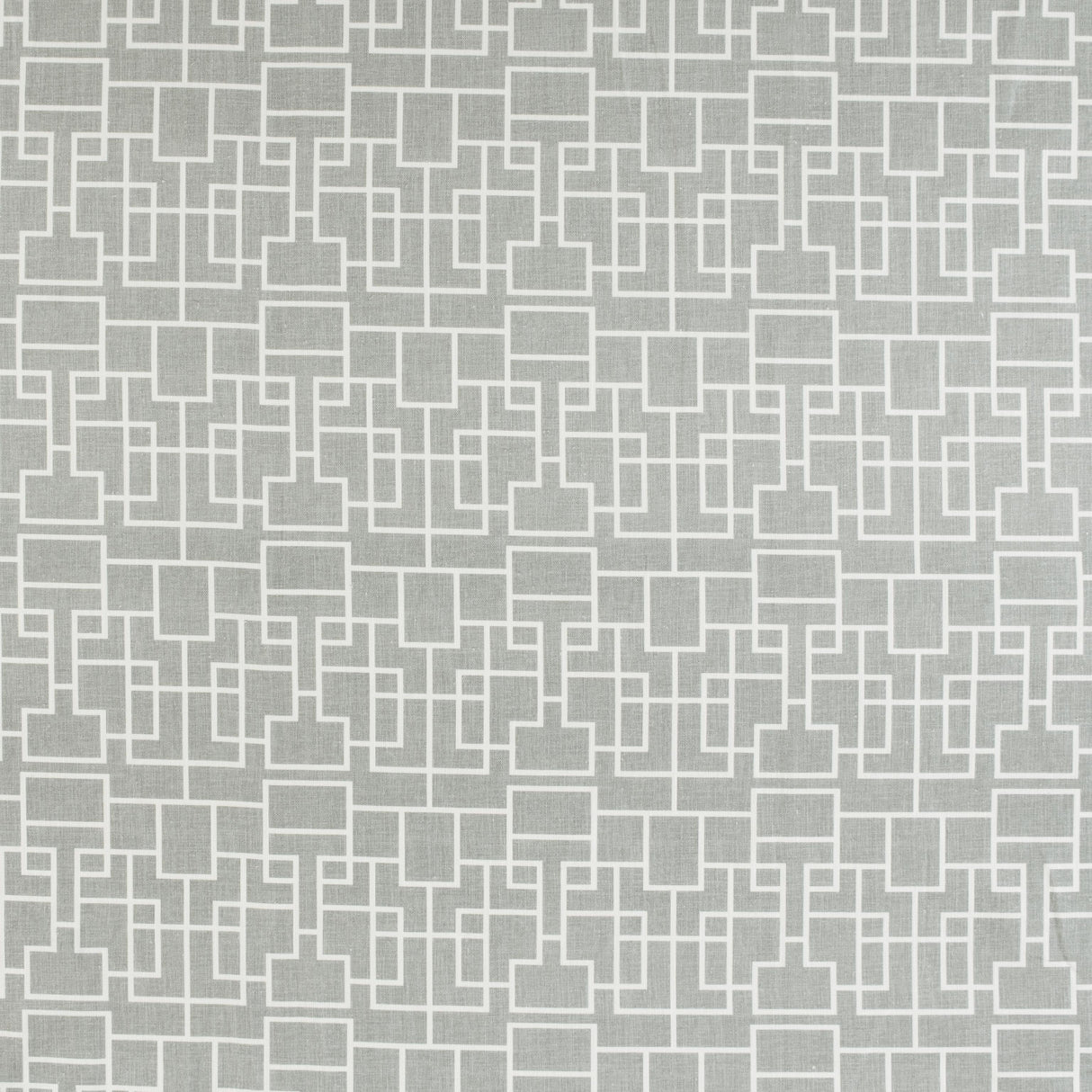 Kravet GARDEN KEY DOVE Fabric