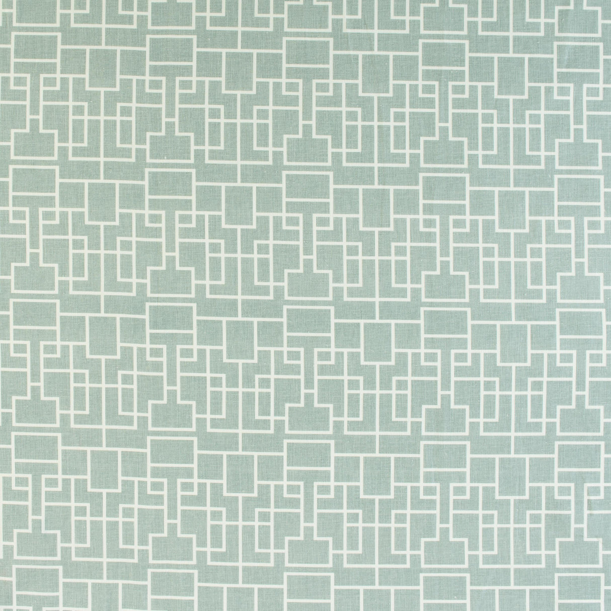 Kravet GARDEN KEY CACTUS Fabric