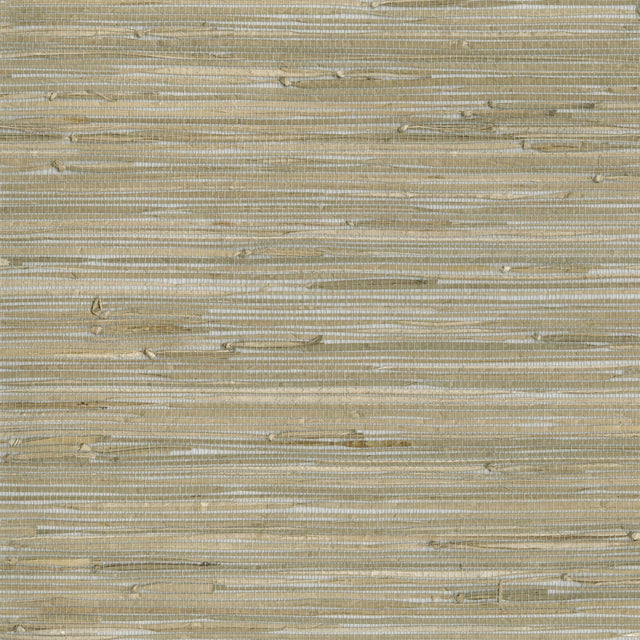 Kravet DESIGN W3560 1611 Wallpaper