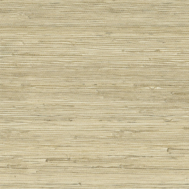 Kravet DESIGN W3566 16 Wallpaper