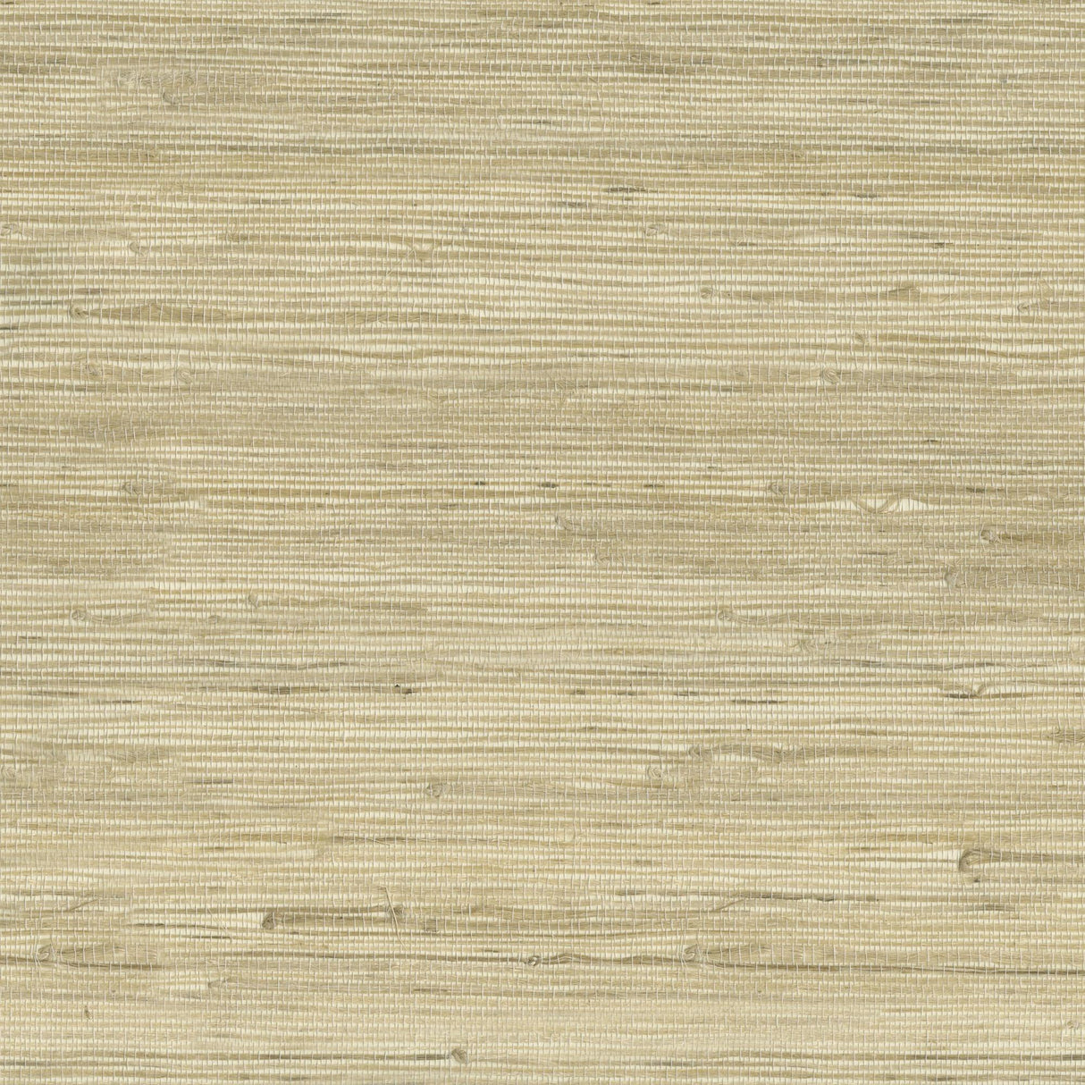 Kravet DESIGN W3566 16 Wallpaper