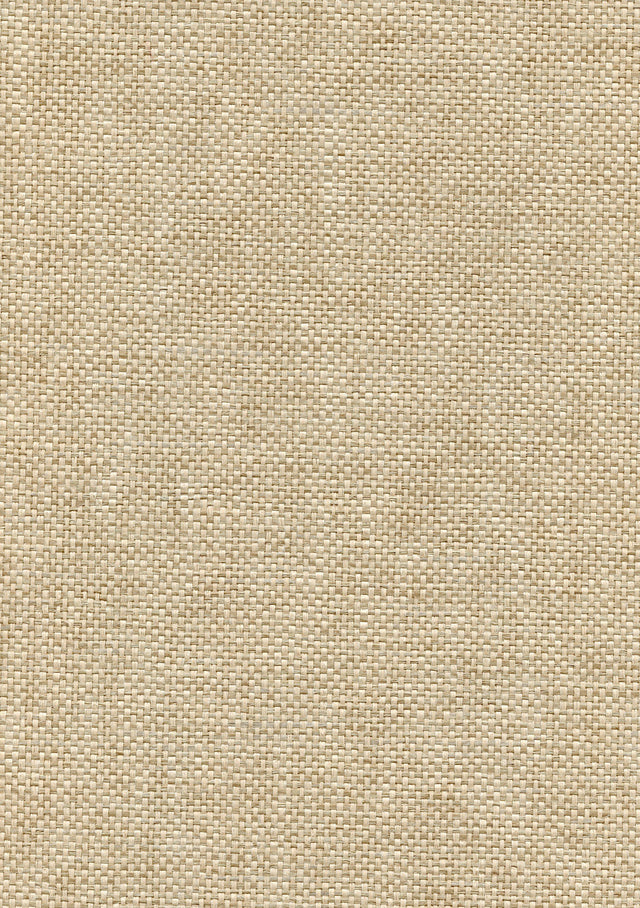Winfield Thybony PETITE FRETTE PUMICE Wallpaper