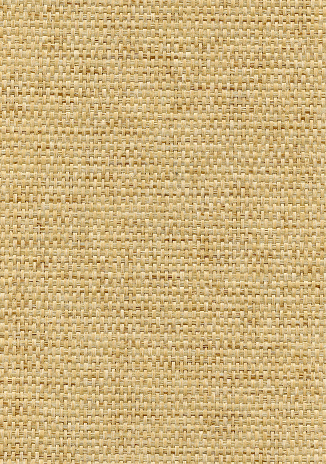 Winfield Thybony ROSETTE WEAVE BLOND Wallpaper