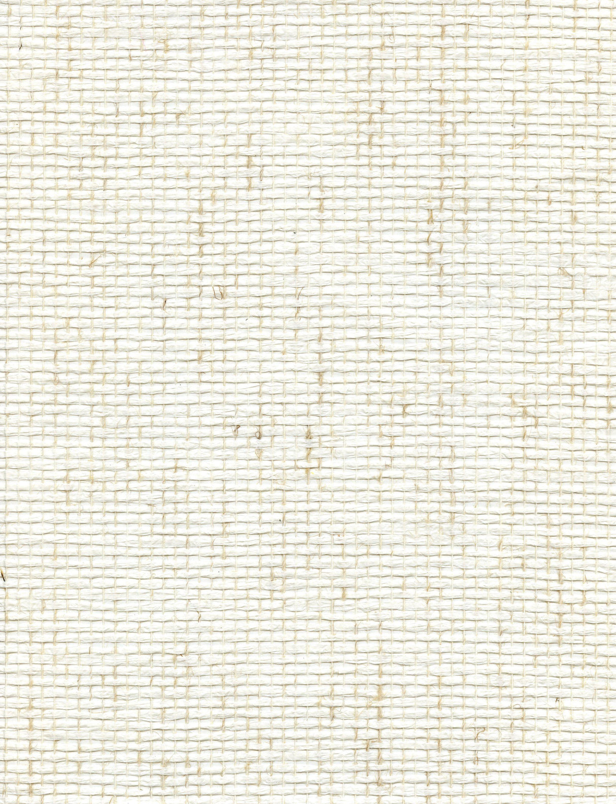 Winfield Thybony PICK WEAVE VANILLA BEAN Wallpaper
