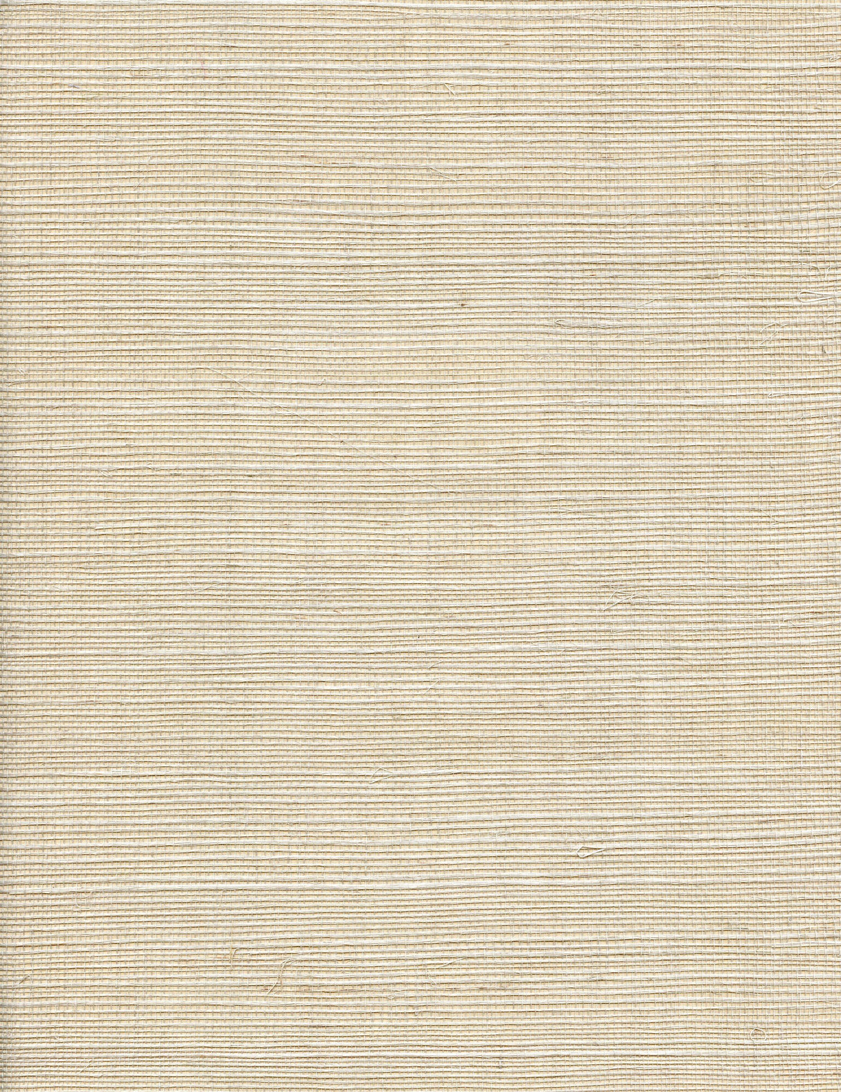 Winfield Thybony SOLO SISAL LIMESTONE Wallpaper
