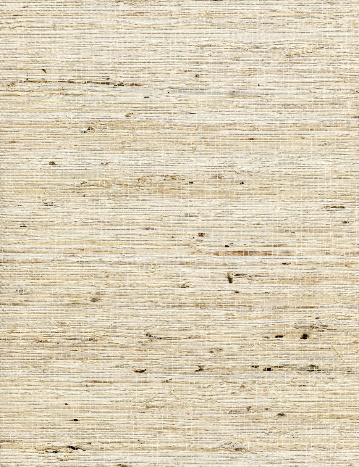 Winfield Thybony CONCERTO TUSK Wallpaper