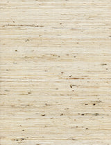 Winfield Thybony CONCERTO TUSK Wallpaper
