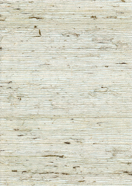 Winfield Thybony CONCERTO SEA MIST Wallpaper