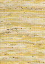 Winfield Thybony CONCERTO GOLD Wallpaper