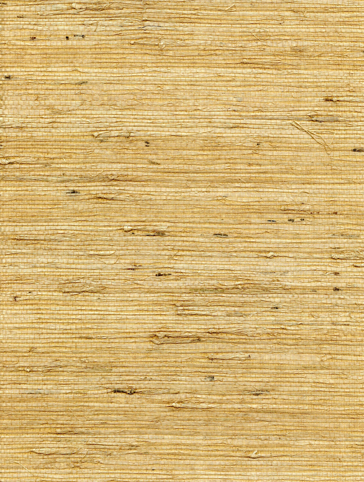 Winfield Thybony CONCERTO SAFFRON Wallpaper