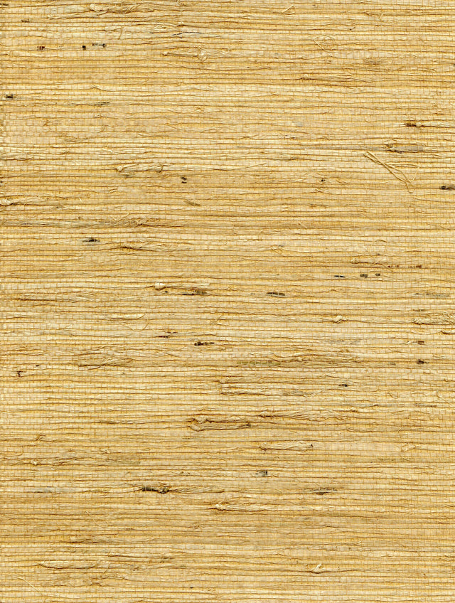 Winfield Thybony CONCERTO SAFFRON Wallpaper