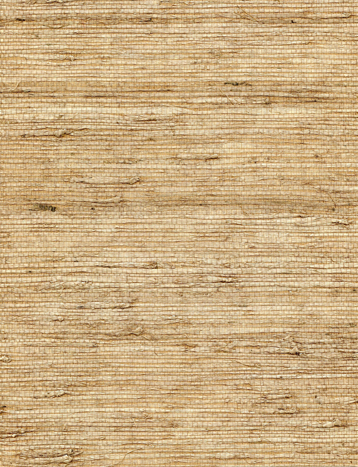 Winfield Thybony CONCERTO LATTE Wallpaper