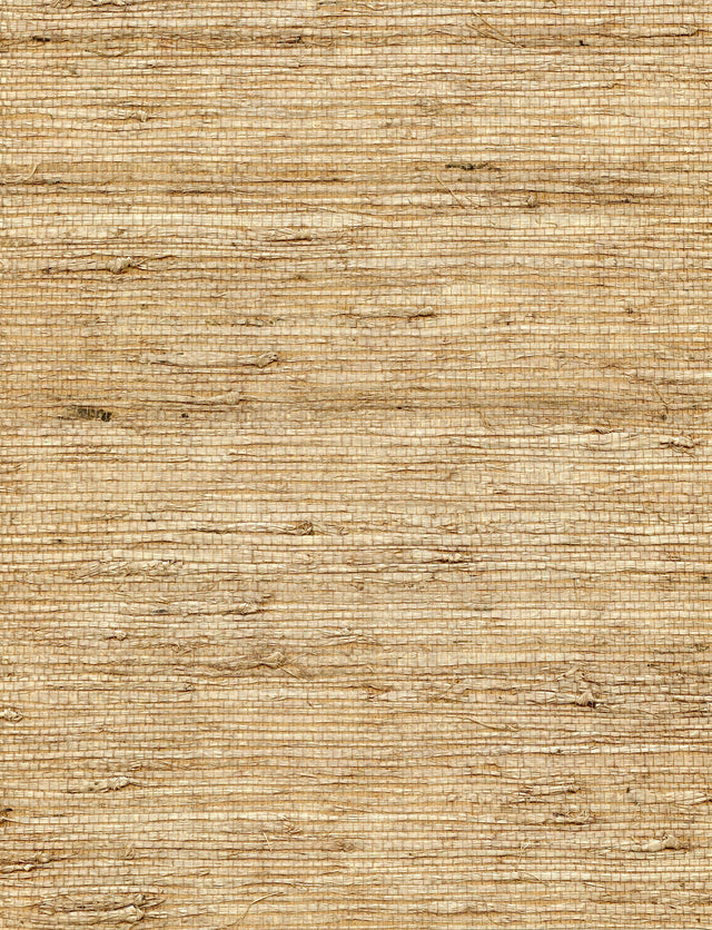 Winfield Thybony CONCERTO LATTE Wallpaper