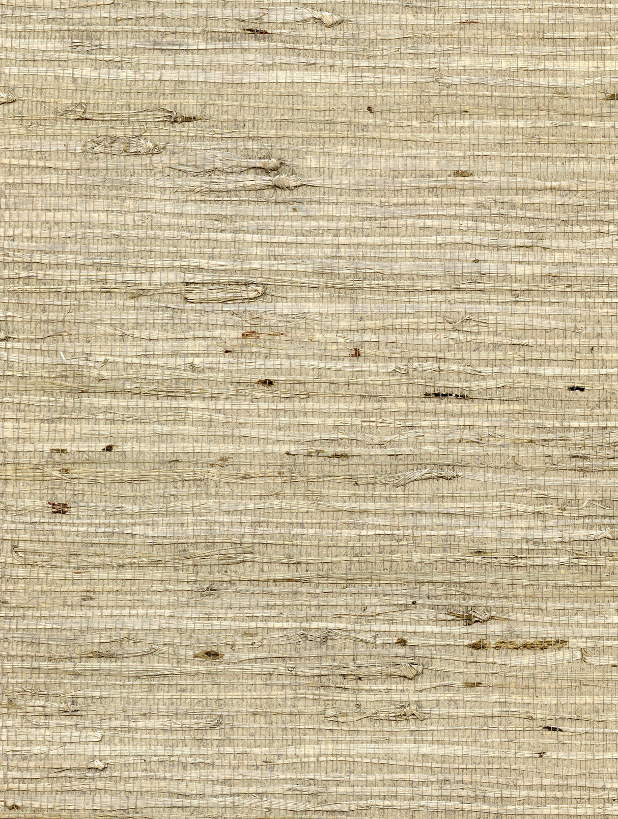 Winfield Thybony CONCERTO FAWN Wallpaper