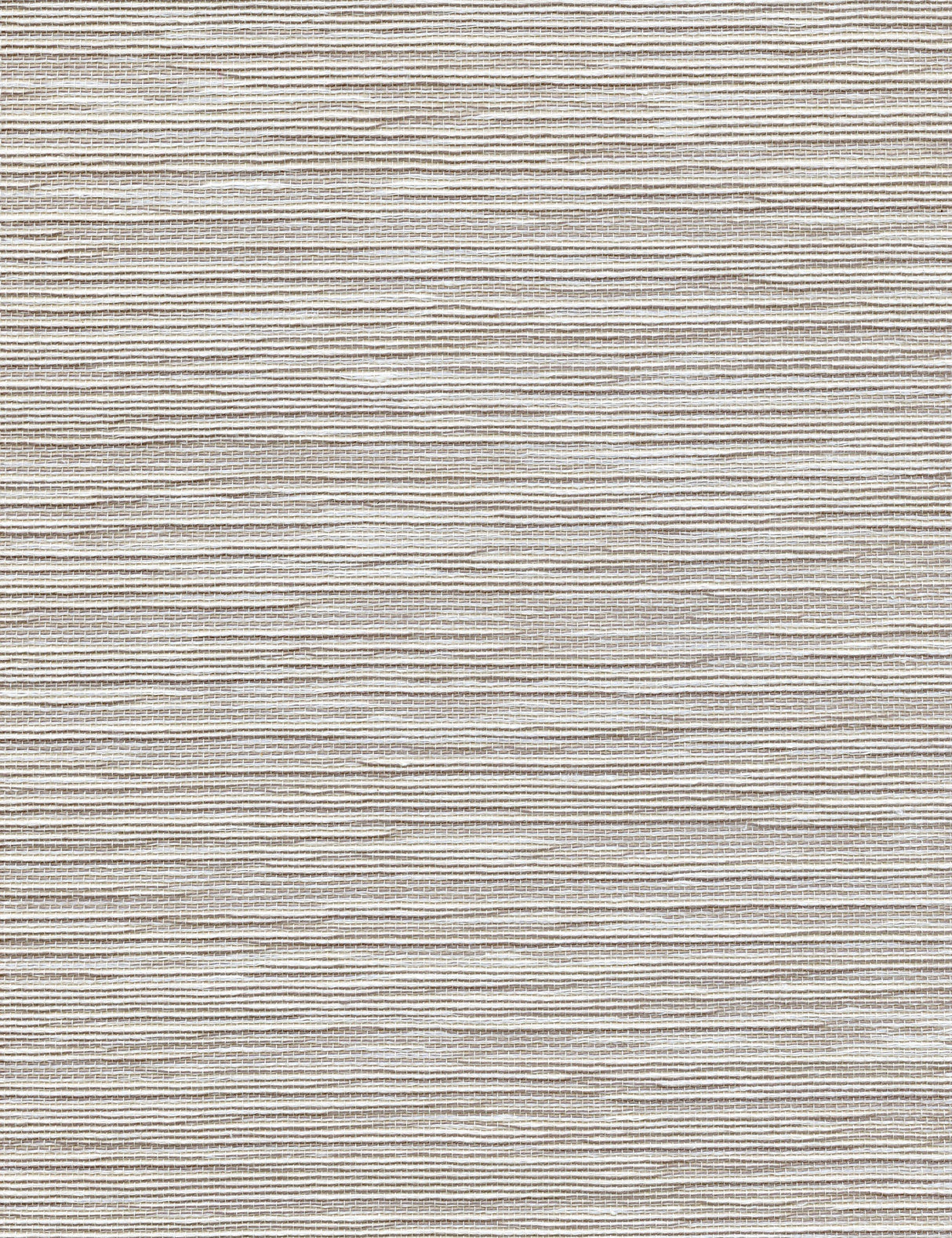 Winfield Thybony ADAGIO PUTTY Wallpaper