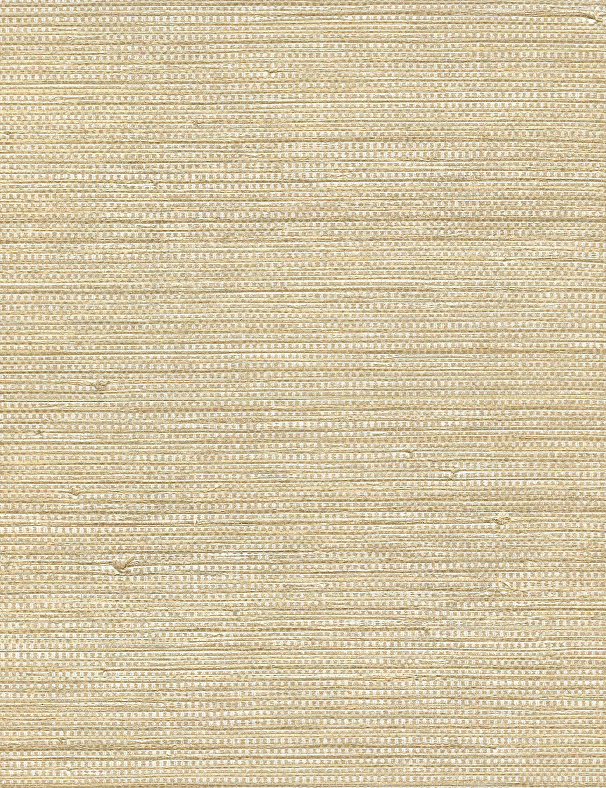 Winfield Thybony ALLEGRIA IVORY Wallpaper
