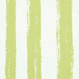 Schumacher Sketched Stripe Green Wallpaper