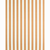 Schumacher Edwin Stripe Medium Butternut Wallpaper