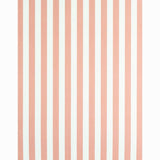 Schumacher Edwin Stripe Medium Pink Wallpaper