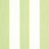 Schumacher Edwin Stripe Wide Leaf Wallpaper
