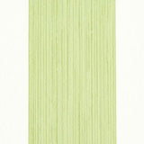 Schumacher Edwin Stripe Wide Leaf Wallpaper