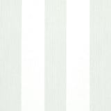 Schumacher Edwin Stripe Wide Birch Wallpaper