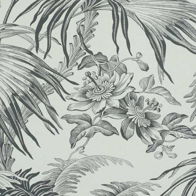 Schumacher Toile Tropique Black Wallpaper