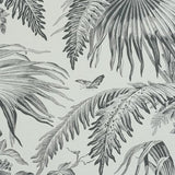 Schumacher Toile Tropique Black Wallpaper