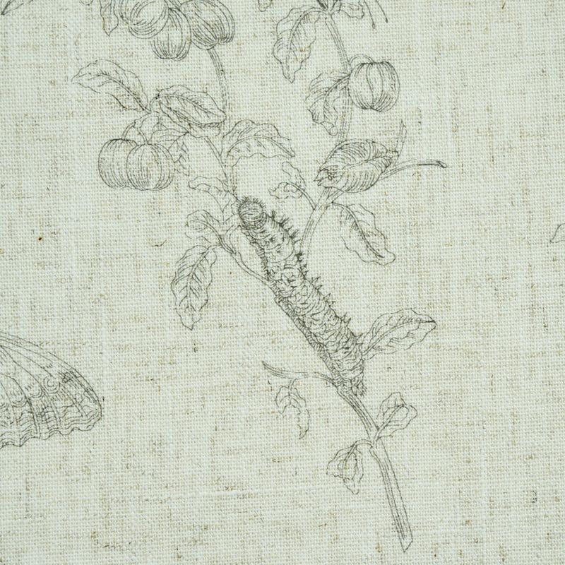 Schumacher Baudin Butterfly Linen Black Wallpaper