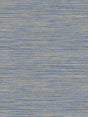 Scalamandre Akita Dark Blue Wallpaper