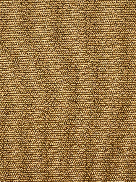 Scalamandre Boss Boucle Butternut Fabric