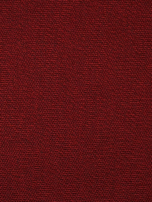 Scalamandre Boss Boucle Ladybug Fabric